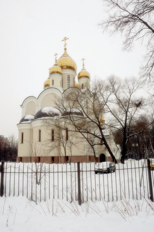 Храм Матроны Московской - Леонид leo