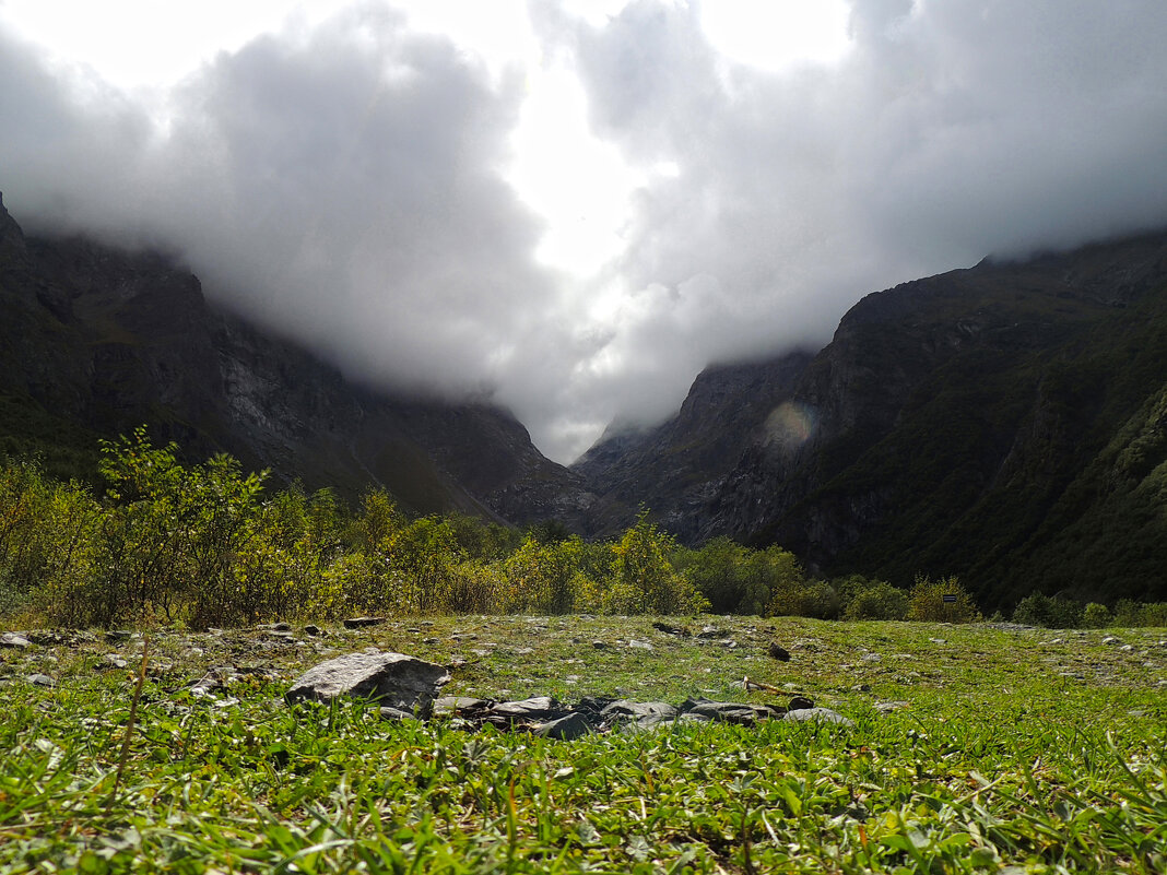 *** - Роман Трофимов