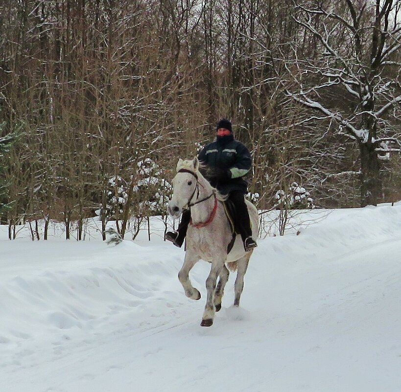 Верхом по снежной дороге - Андрей Снегерёв Верхом по снежной дороге - Андрей Снегерёв