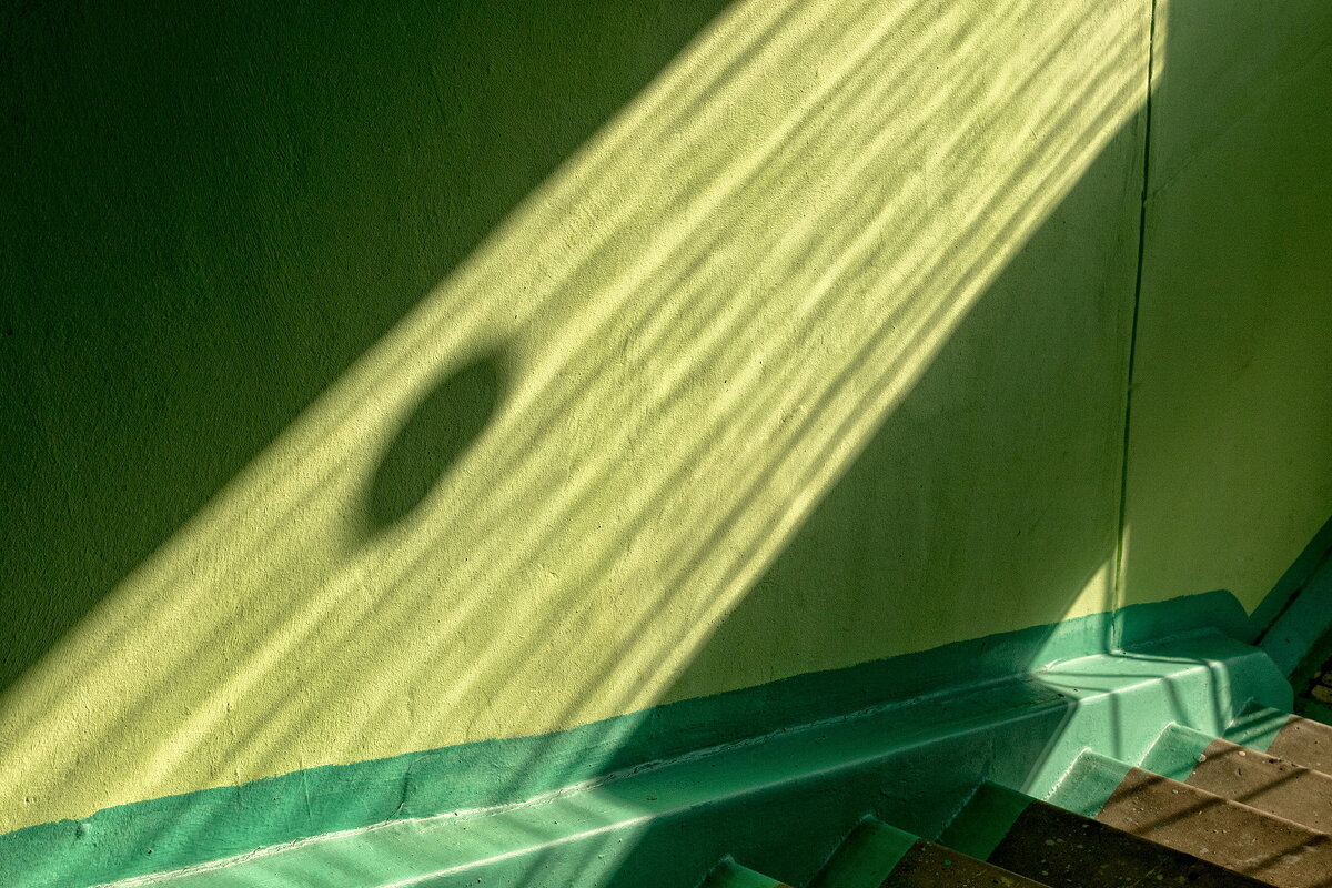 Утро. - Анатолий. Chesnavik.