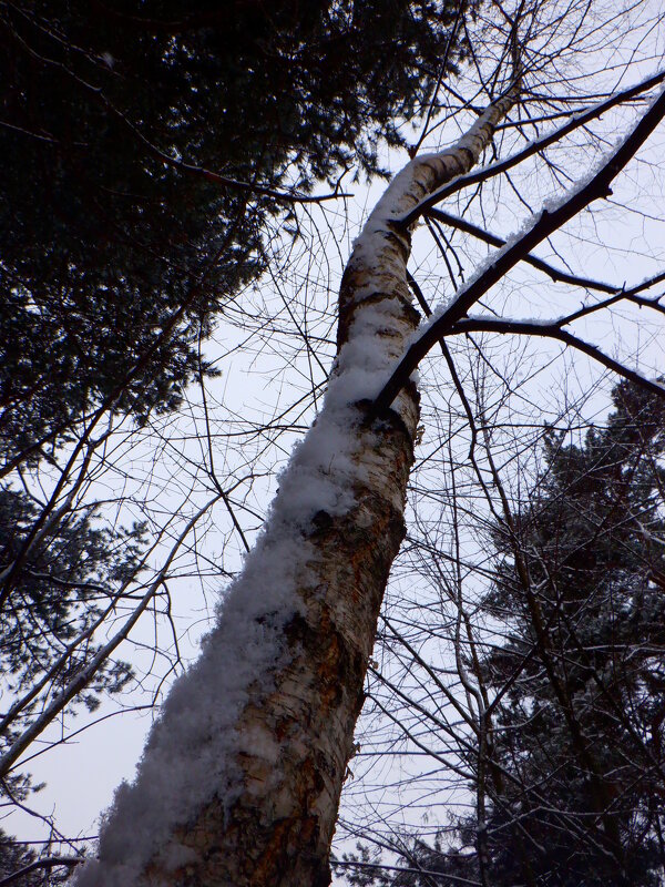 Противостояние - Михаил Противостояние - Михаил