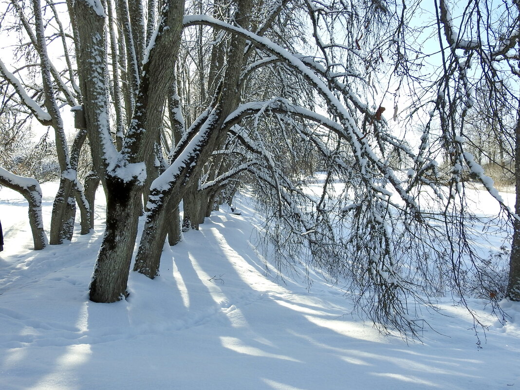 ***** - ИННА ПОРОХОВА