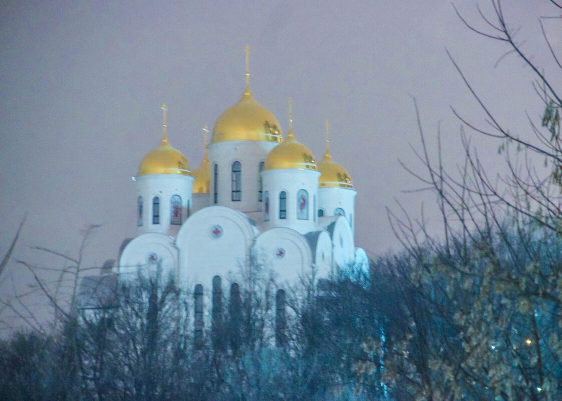 ))) - Ринат Засовский