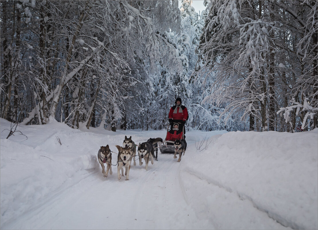 По морозцу (8) - Shapiro Svetlana 