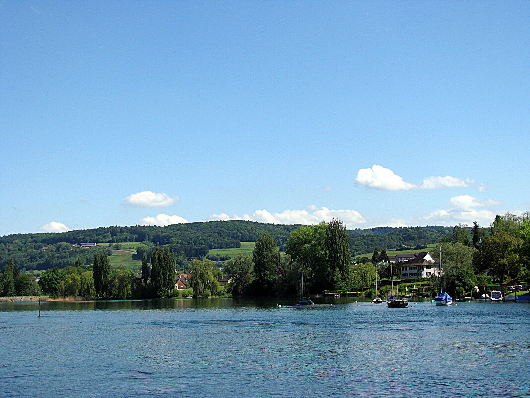Швейцария. Цюрих. - Владимир Драгунский