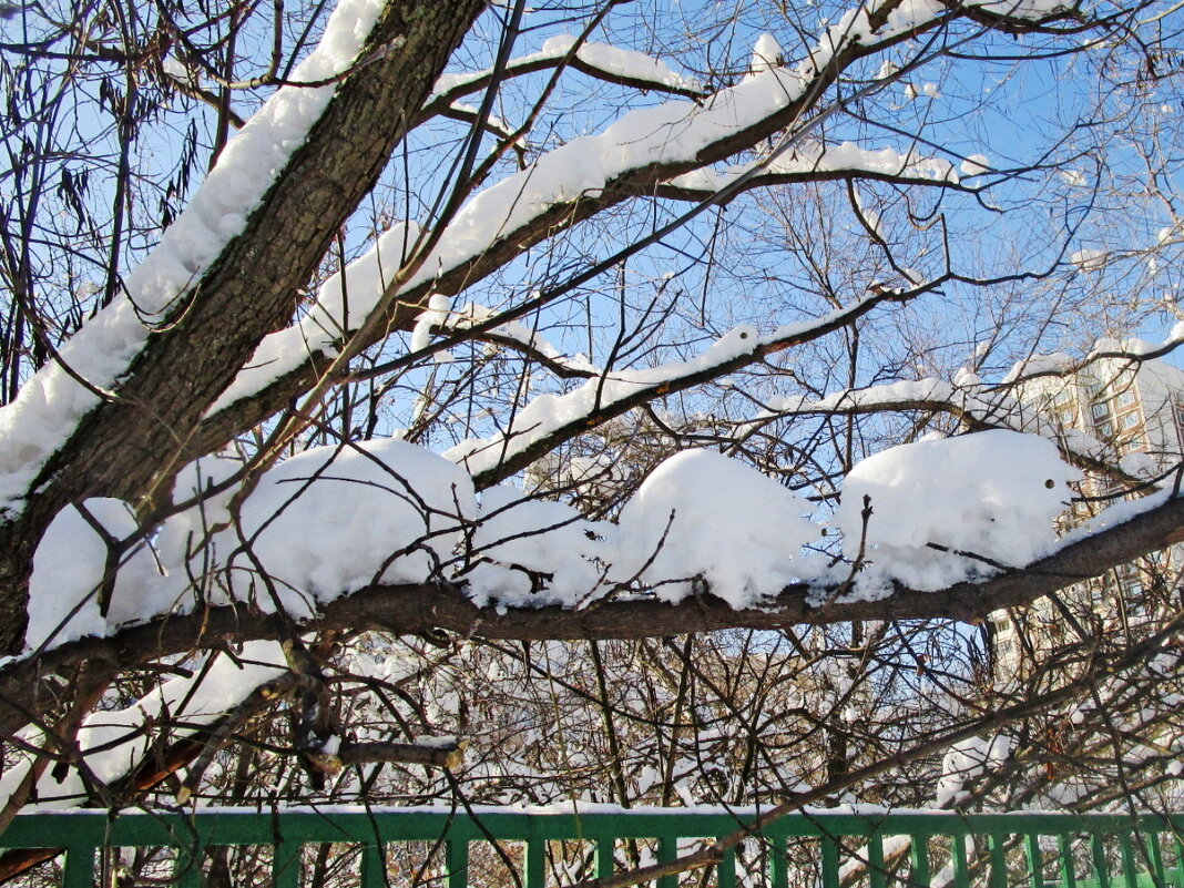 Зимние зарисовки - Ольга Довженко