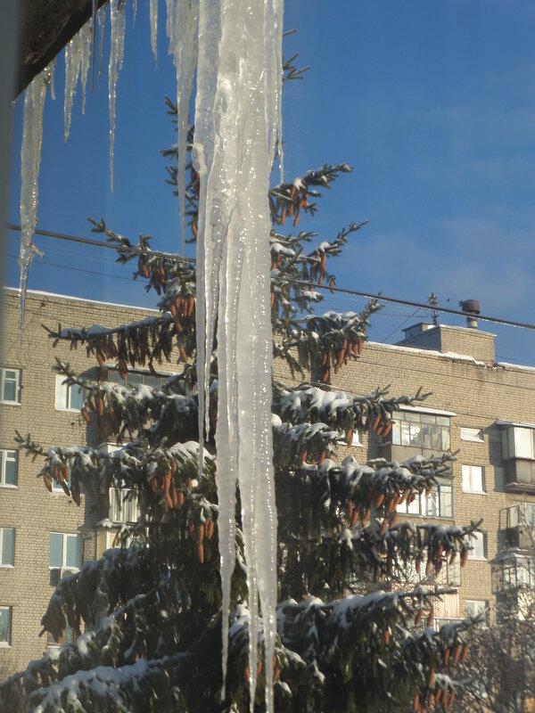 *** - MarinaKiseleva *** - MarinaKiseleva