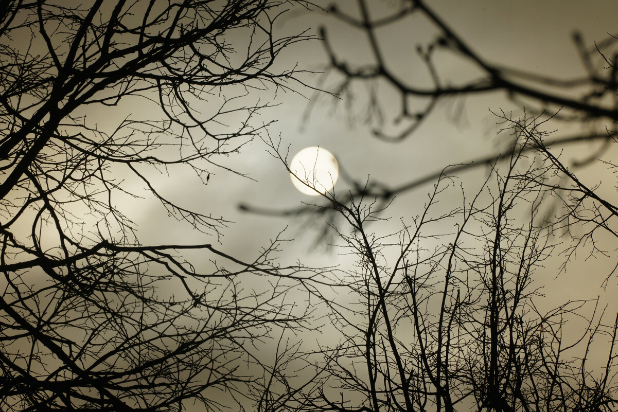 Звезда по имени Солнце - Иван Литвинов Звезда по имени Солнце - Иван Литвинов