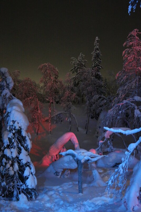 Вечера Таинственного леса - Ольга 