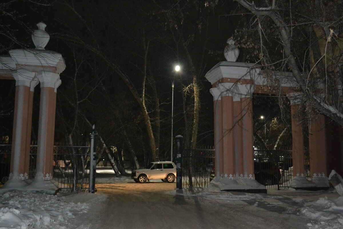 Ночные спутники...фонари... - Георгиевич Ночные спутники...фонари... - Георгиевич