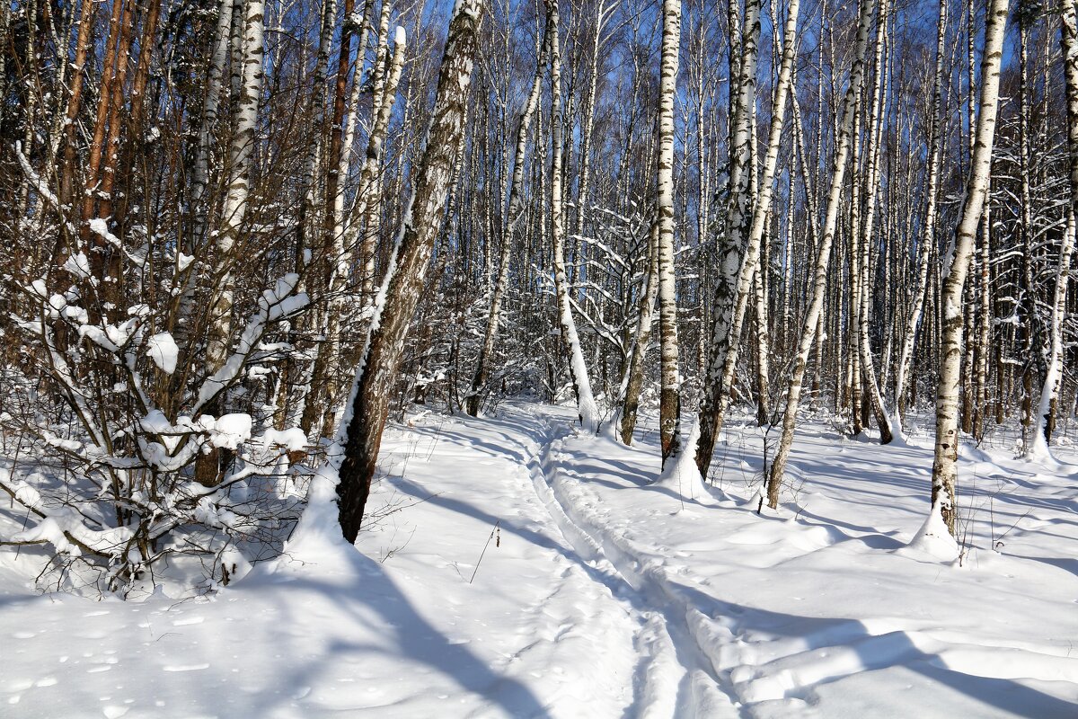 зима - Владимир Холодницкий зима - Владимир Холодницкий