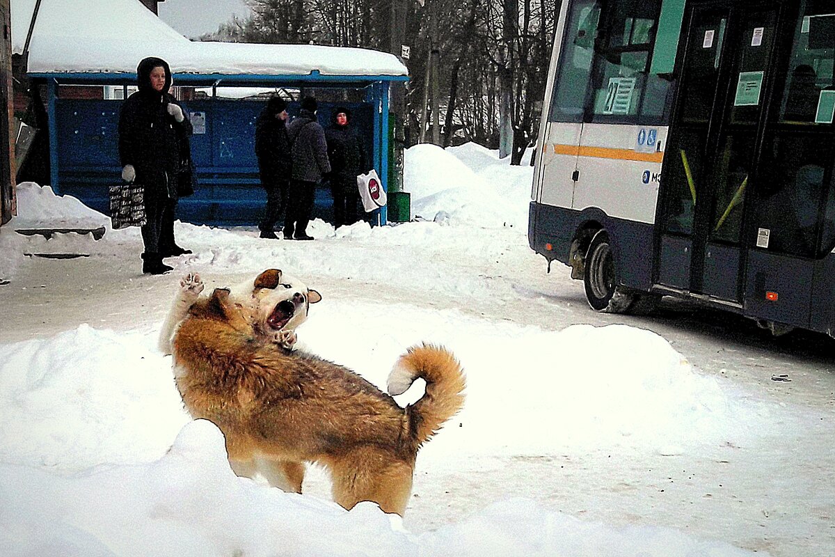 памагите люди добрые... - Любовь 