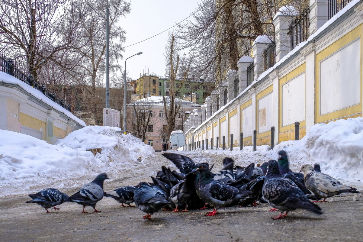 Прогулка по истории Старой Москве (6) - Георгий А