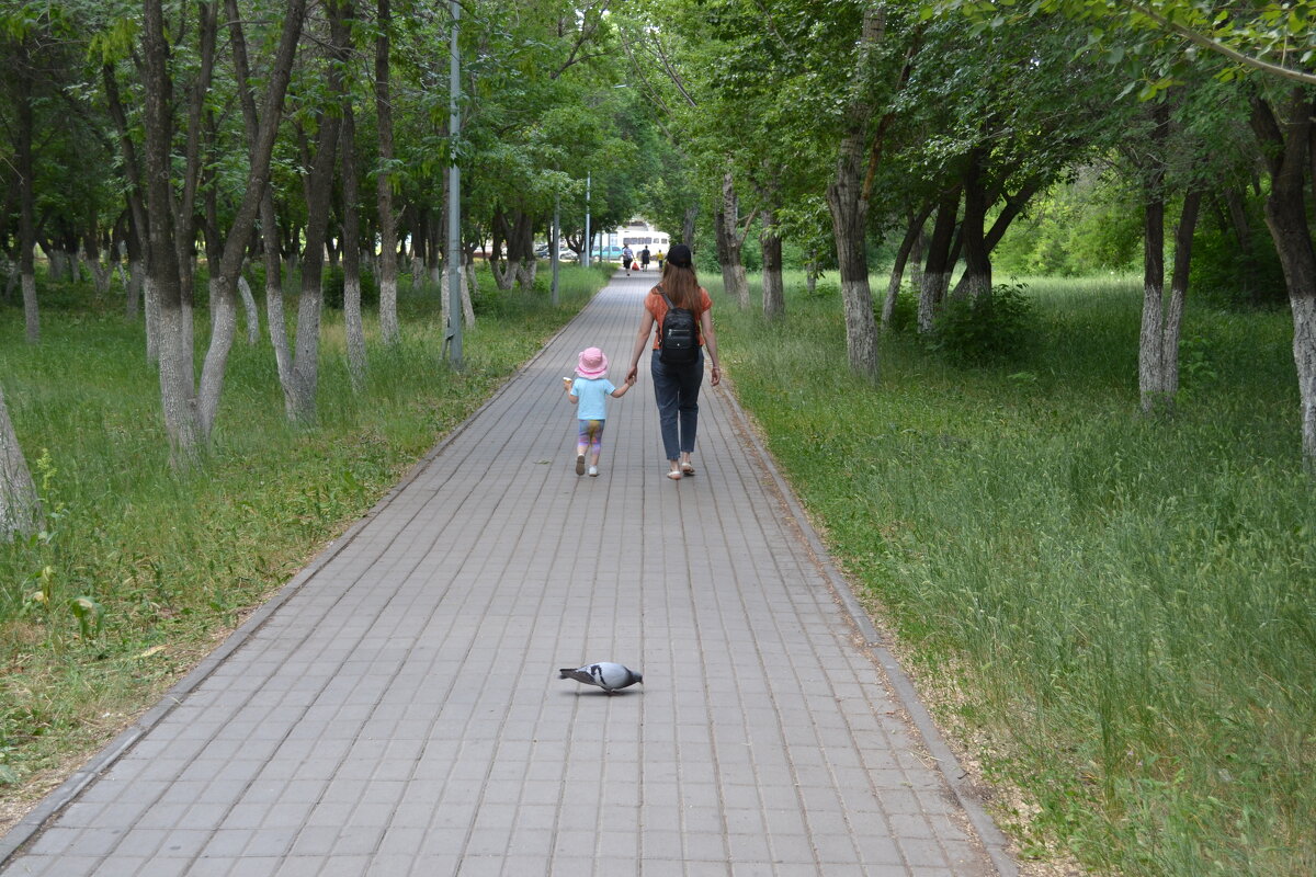 А жизнь продолжается... - Георгиевич 