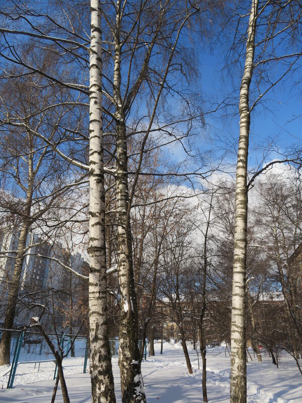 Солнечный денёк. - Зинаида Солнечный денёк. - Зинаида