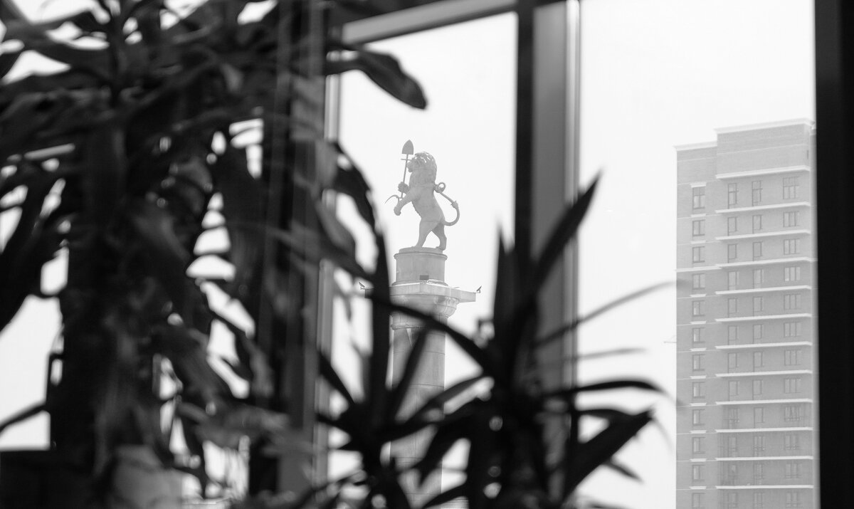 [ 365/11 ] - Дмитрий Демидович