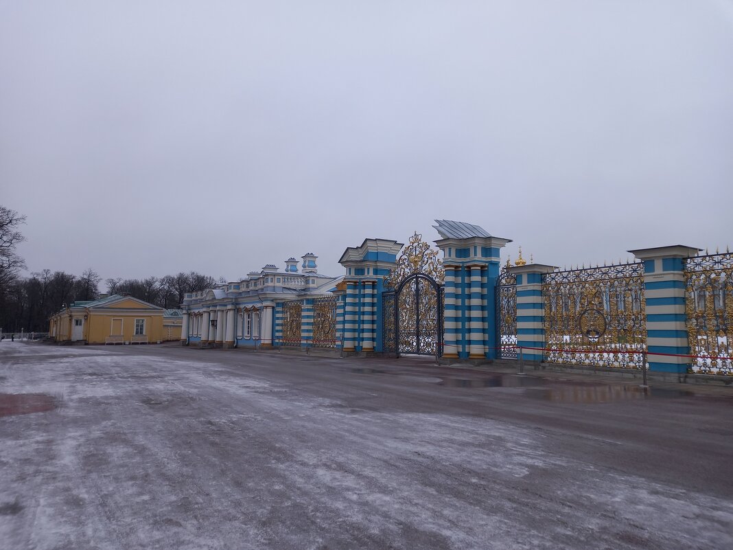 Царскосельские ворота - Сапсан 