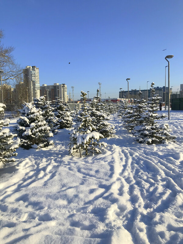 С-Петербург - Валентина Жукова