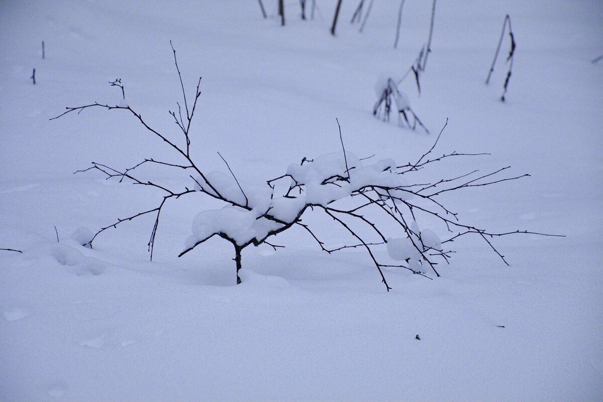 "паучок" - Валентина Папилова
