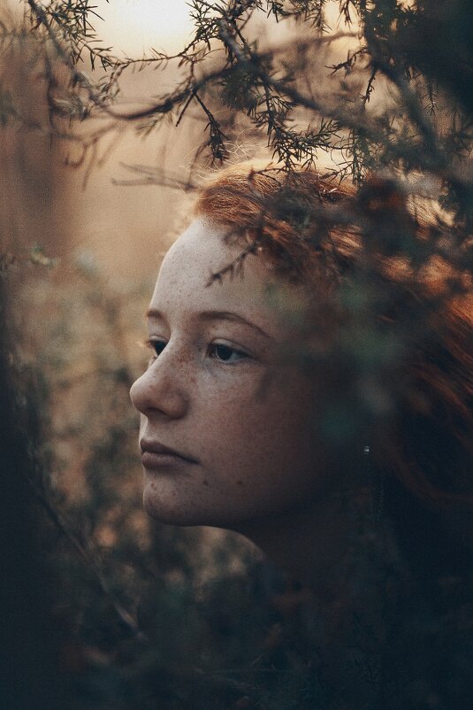 Полина - Вероника Гергерт Полина - Вероника Гергерт