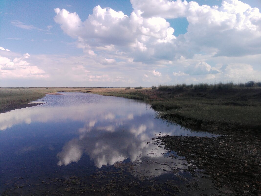 Небесная река... - Георгиевич Небесная река... - Георгиевич