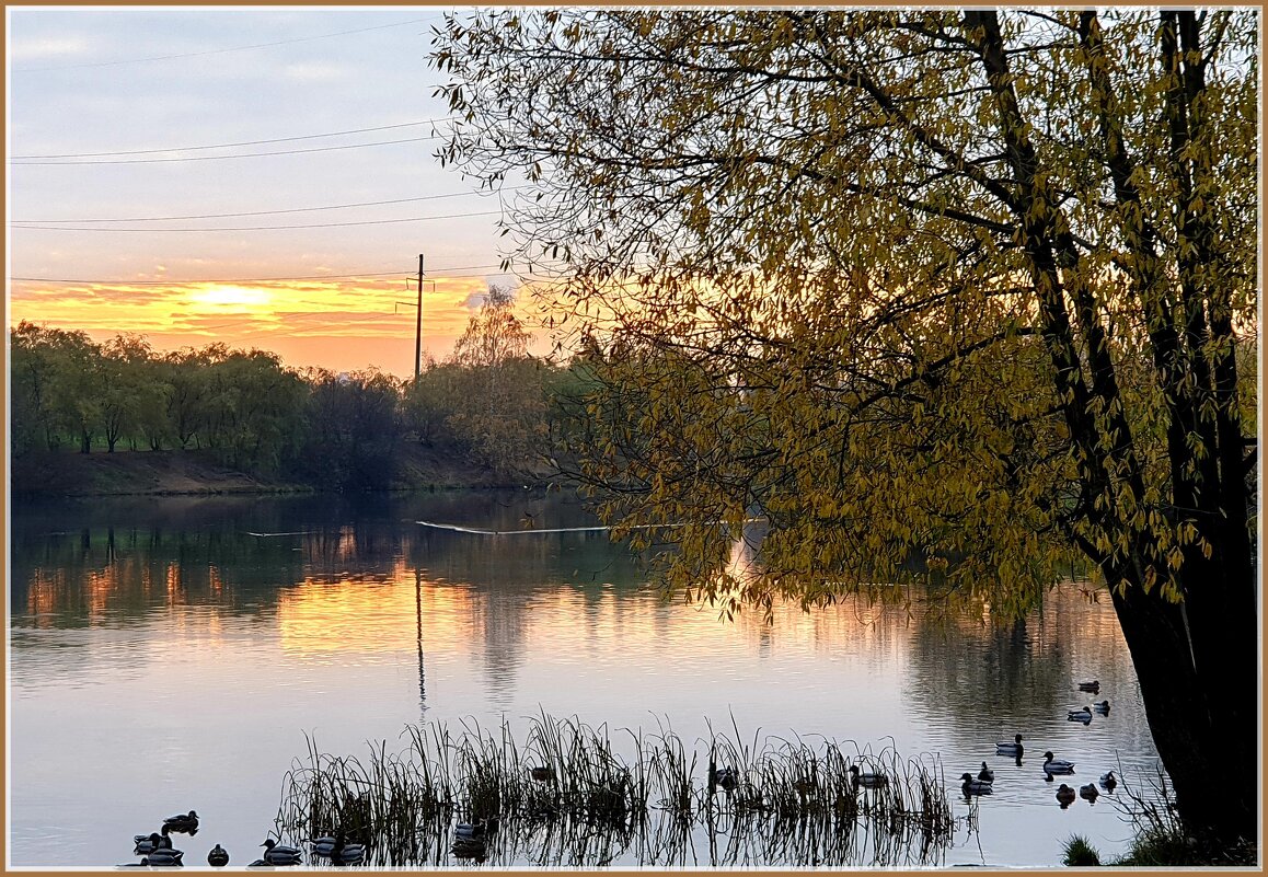 Ещё одно утро... Ещё один рассвет... - Лариса Масалкова Ещё одно утро... Ещё один рассвет... - Лариса Масалкова