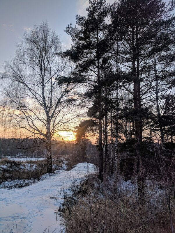Вечернее солнце - Марина Птичка