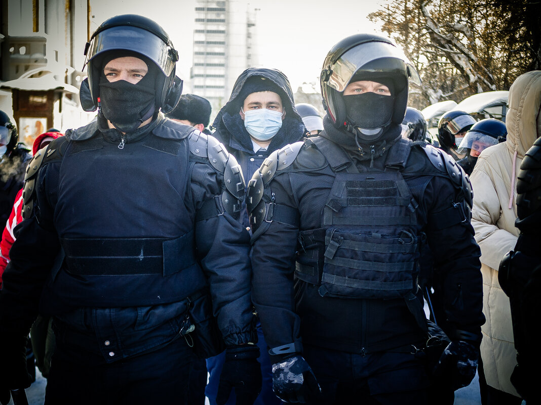 На митинге - Елена Берсенёва На митинге - Елена Берсенёва