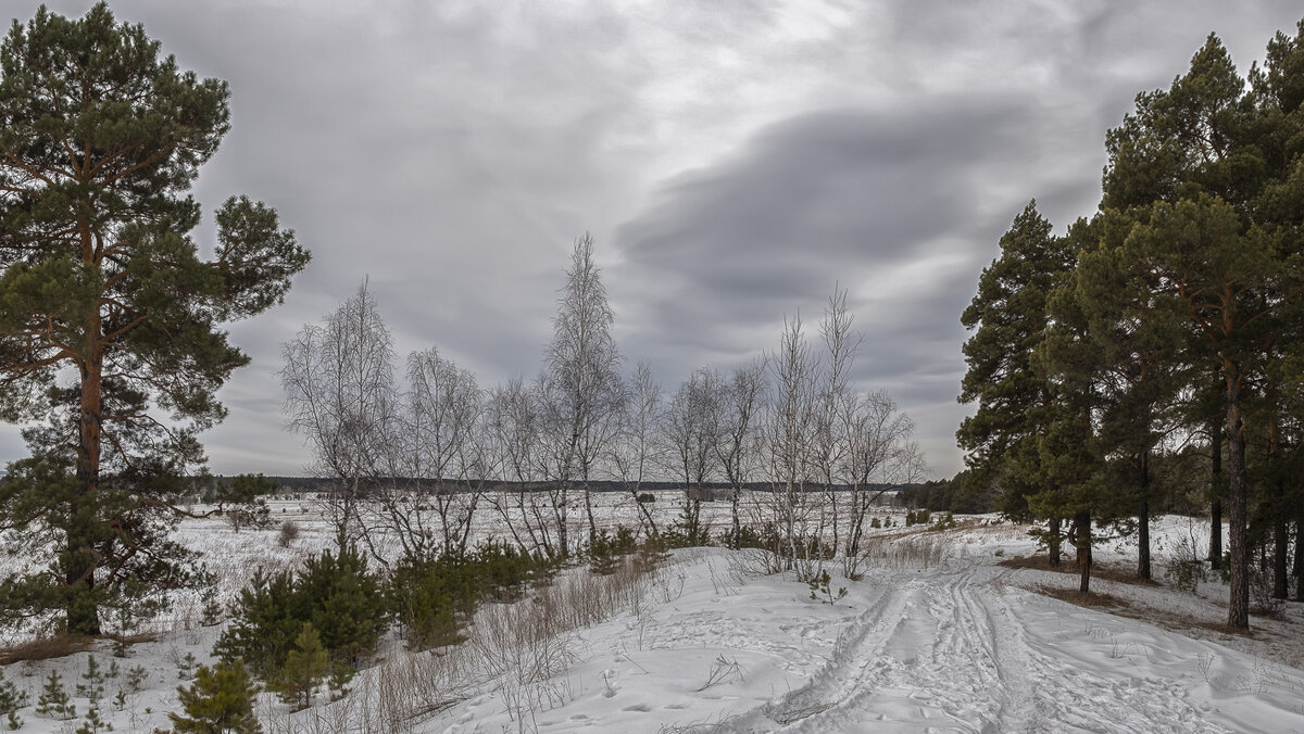 ***** - Евгений Герасименко
