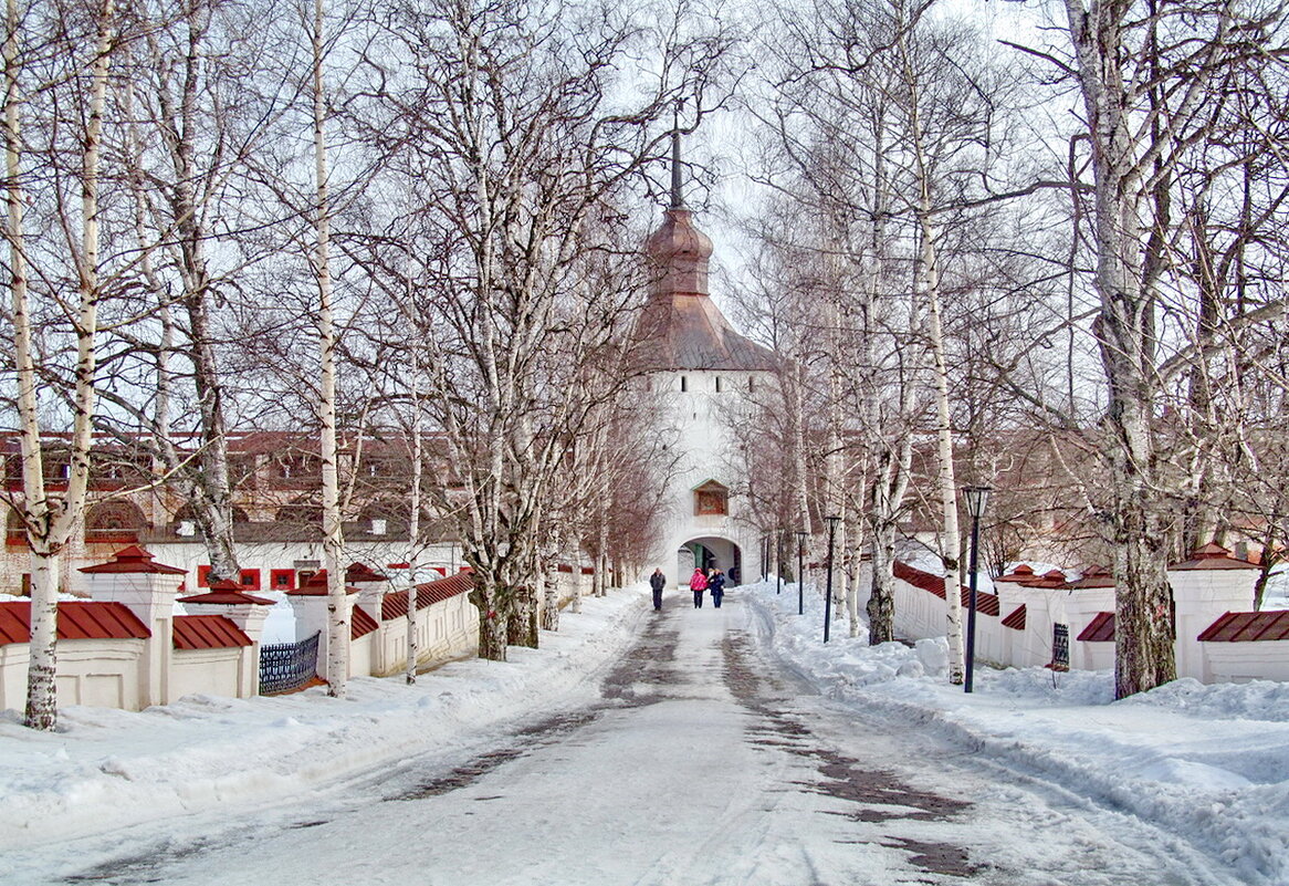 Кирилло-Белозерский монастырь. Аллея. - Ольга Елисеева