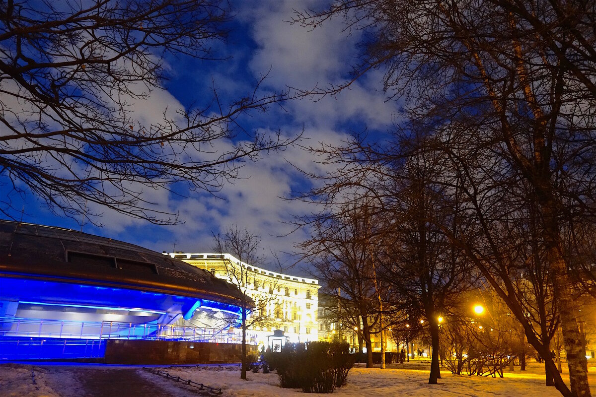 у станции метро Горьковская - Елена 