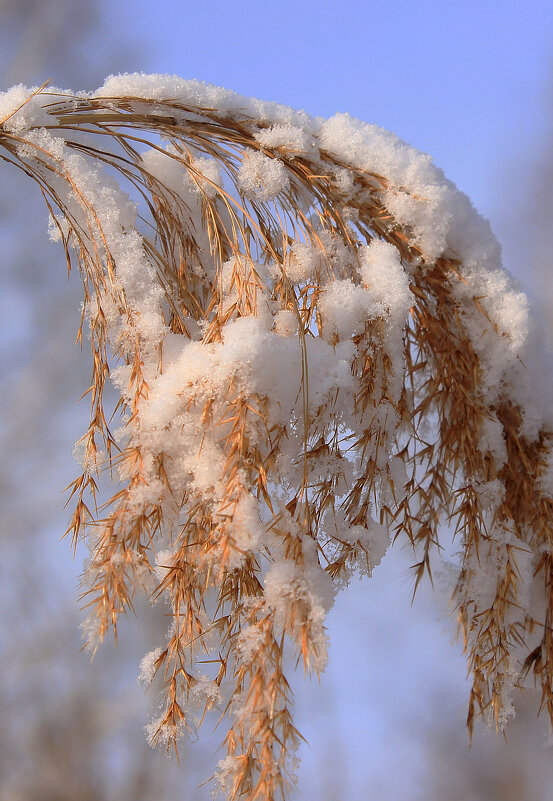 Вот и зима - Влад Платов Вот и зима - Влад Платов
