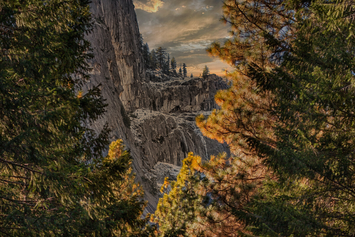 Лесной пейзаж - svabboy photo