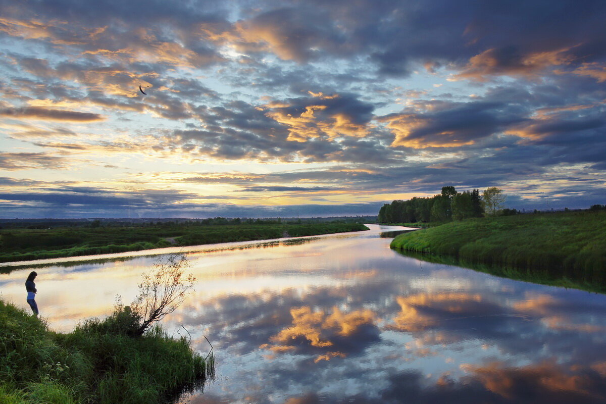 Вечер в лугах - Виктор Четошников Вечер в лугах - Виктор Четошников