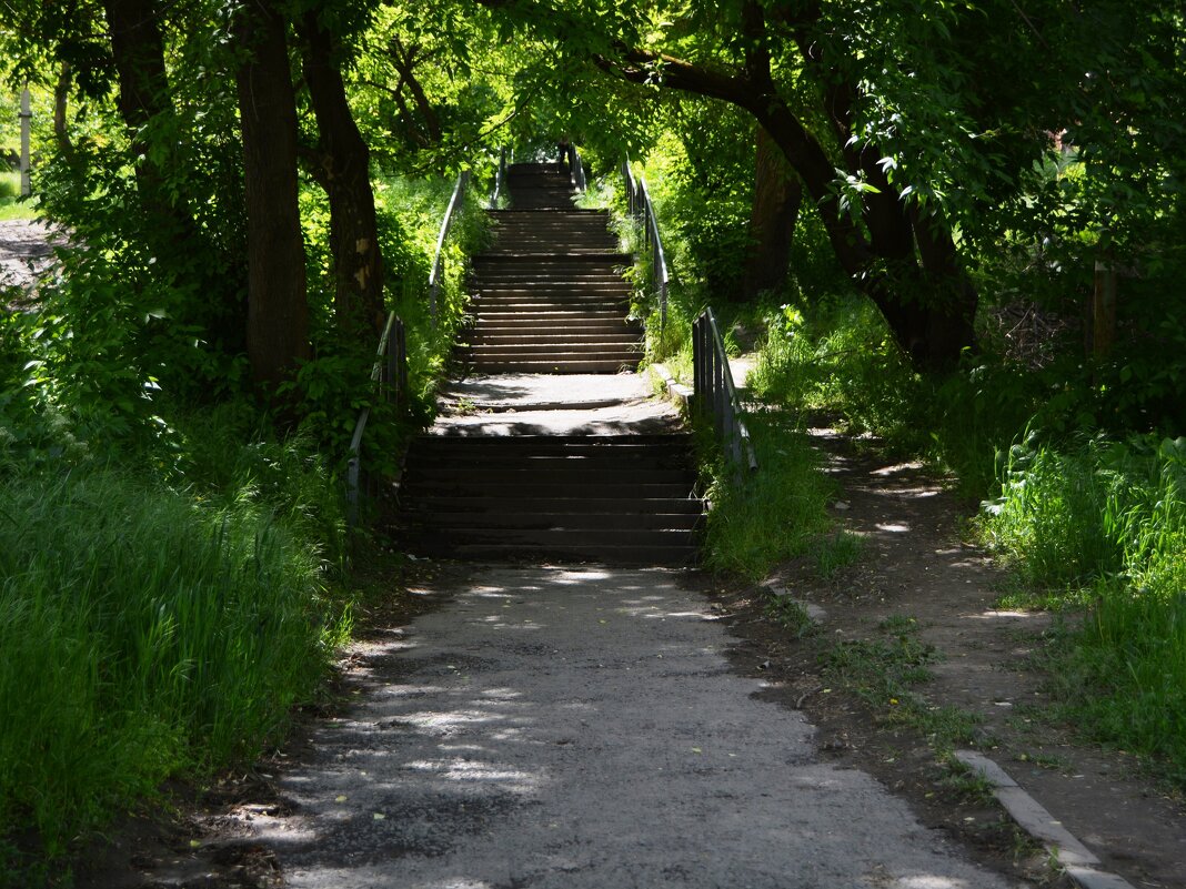 Новочеркасск. Лестница Южного сквера. - Пётр Чернега