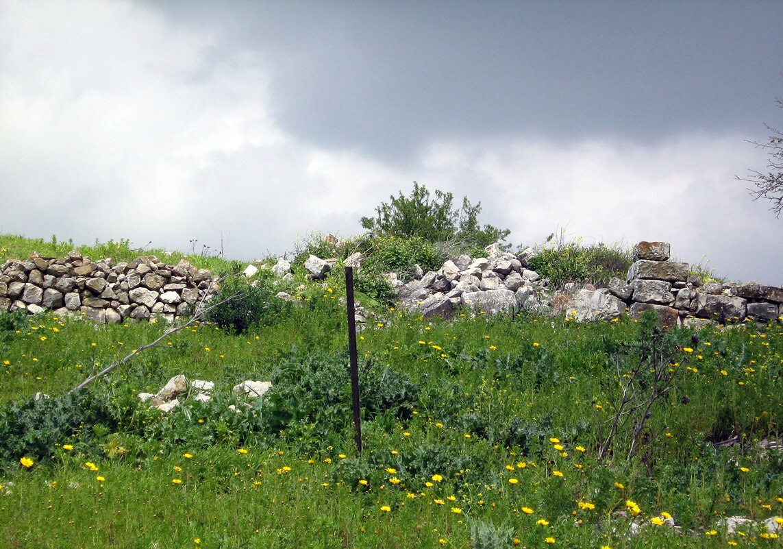 Тель Кедеш - Гала Тель Кедеш - Гала