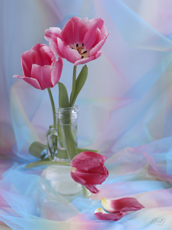 *** - Irene Irene *** - Irene Irene