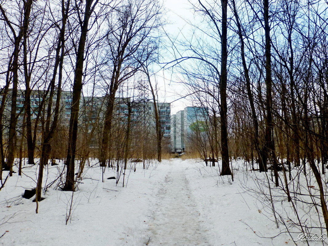 5 минут - и в городе - Raduzka (Надежда Веркина)