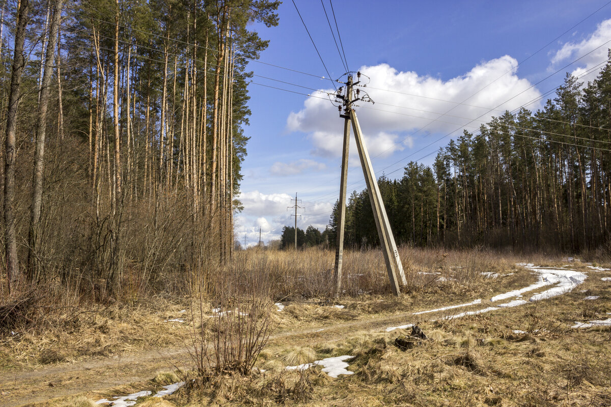 Загородные прогулки - оксана 