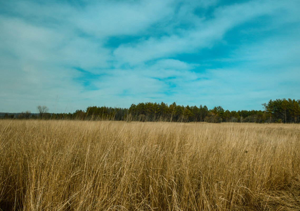 Полянка) - Алексей Подплетько