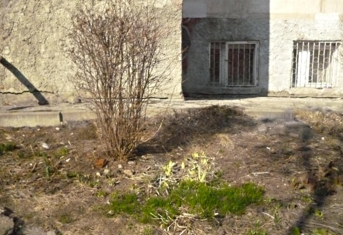 А здесь уже так - Mary Коллар