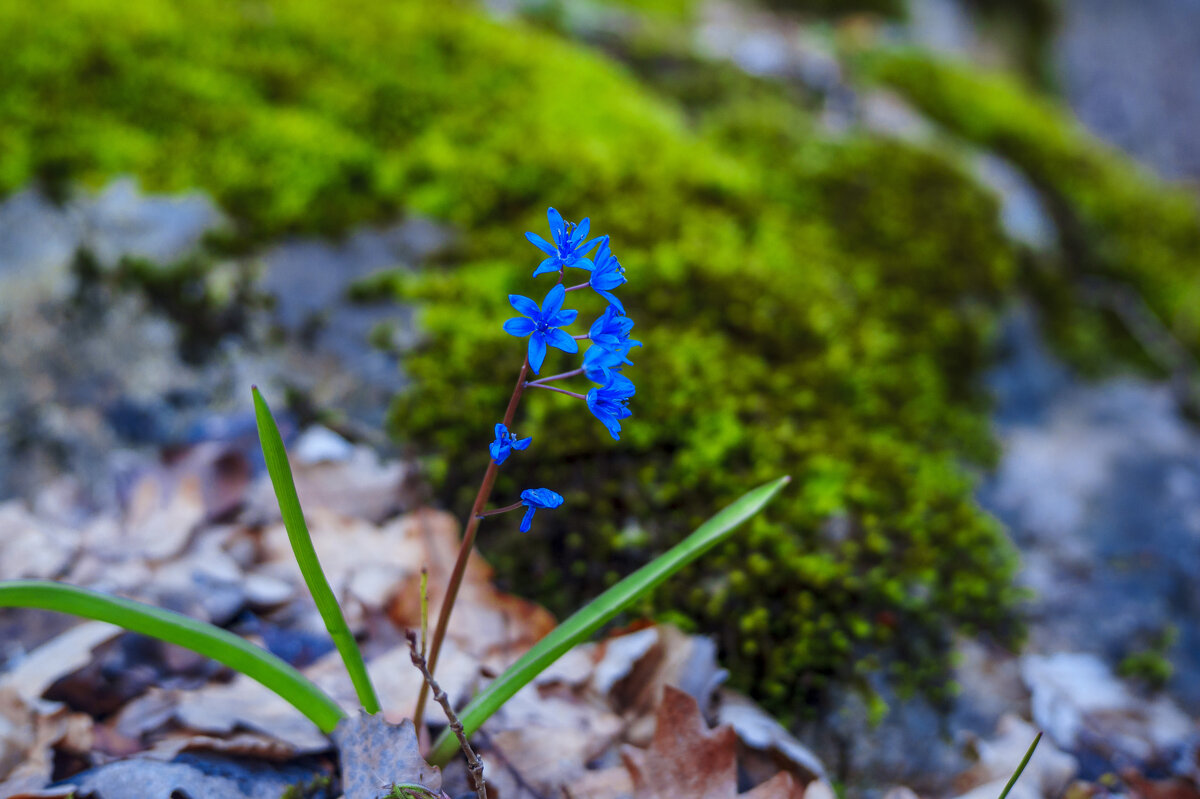 111 - Андрей Ананьев 111 - Андрей Ананьев