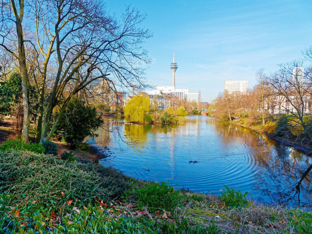 *** - Witalij Loewin