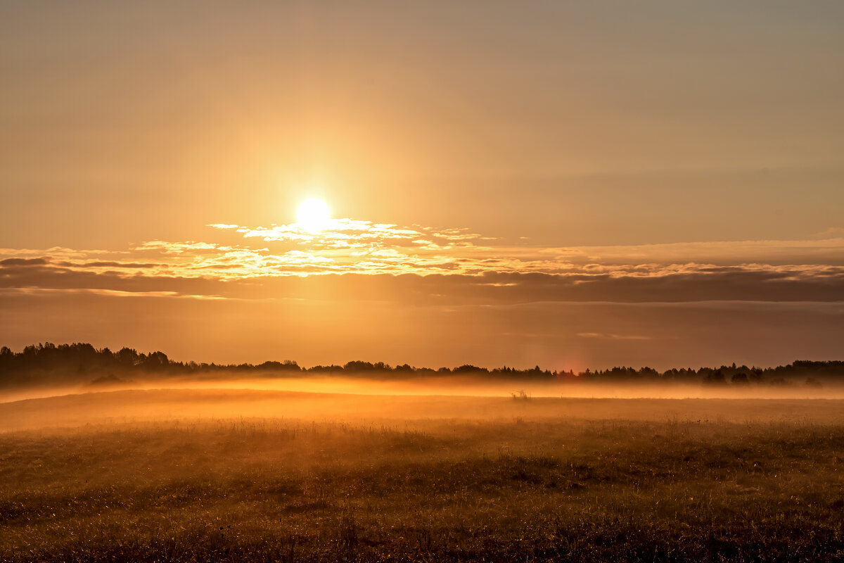 Рассвет - Виктор Желенговский