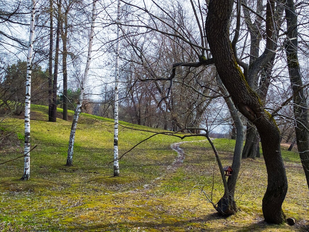 Весна в Царицыно - Ирина М.