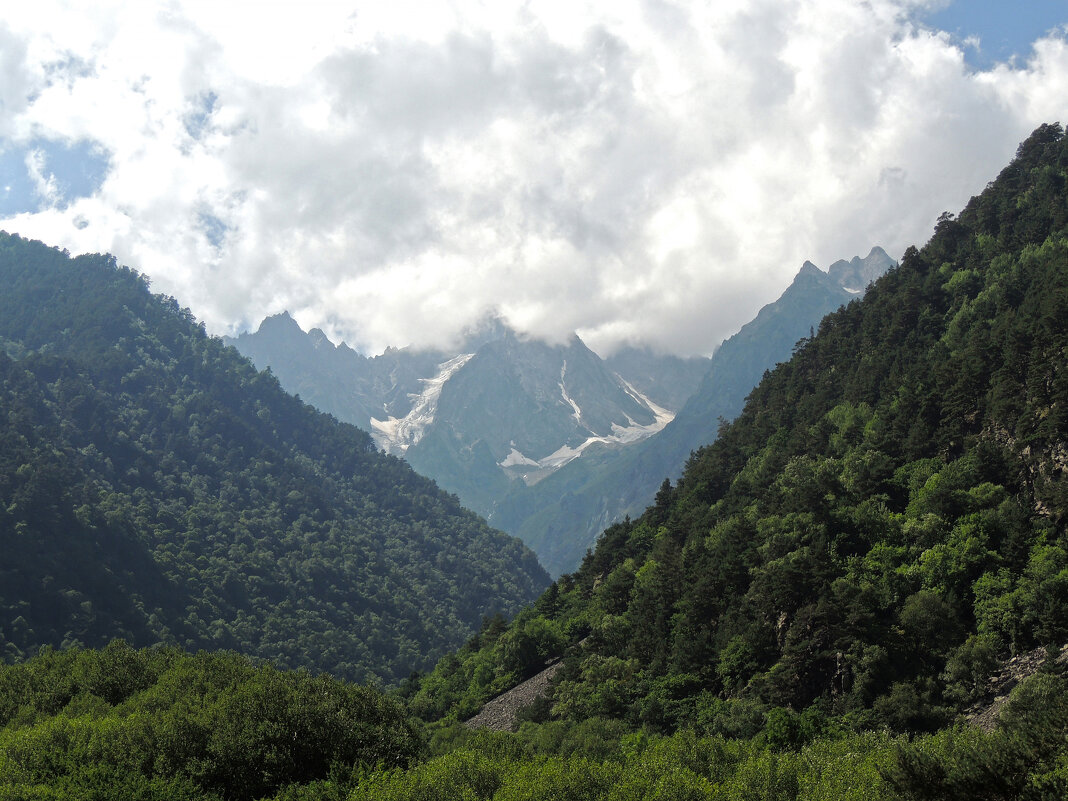 *** - Роман Трофимов