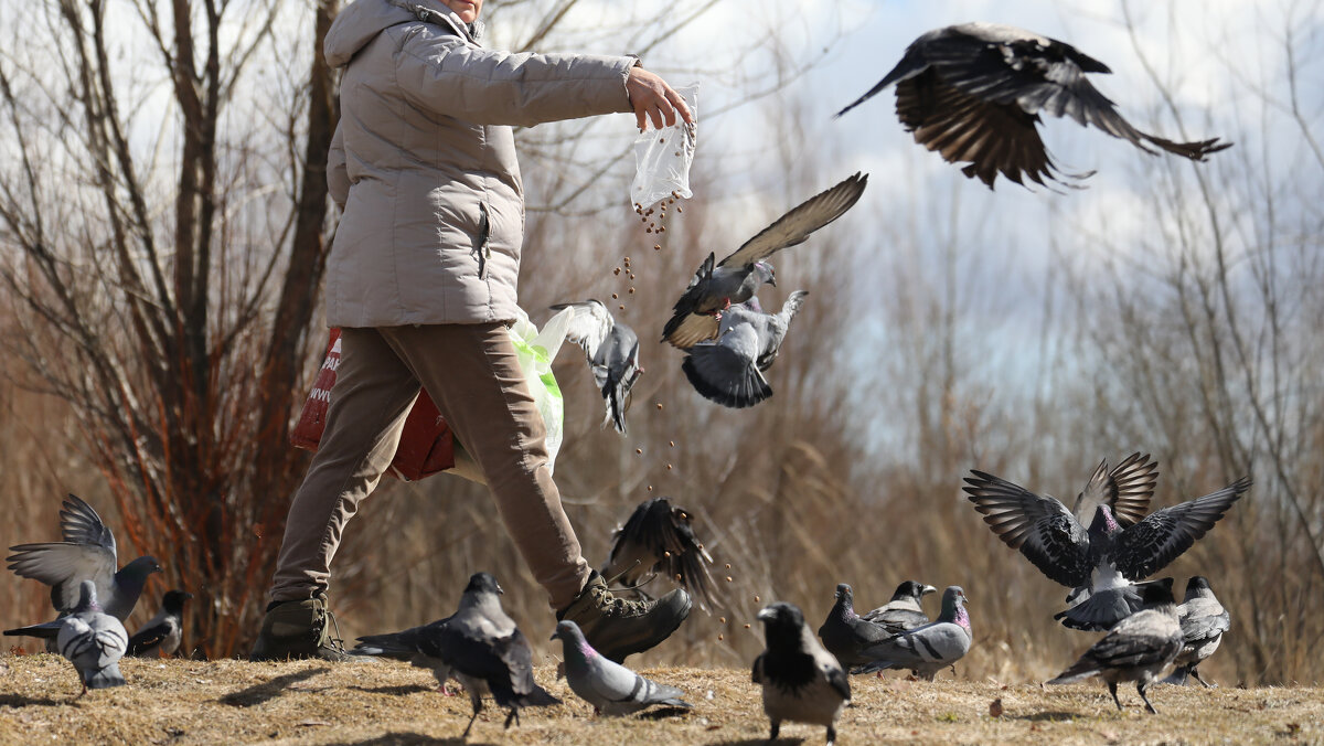 . - Виктор Ян