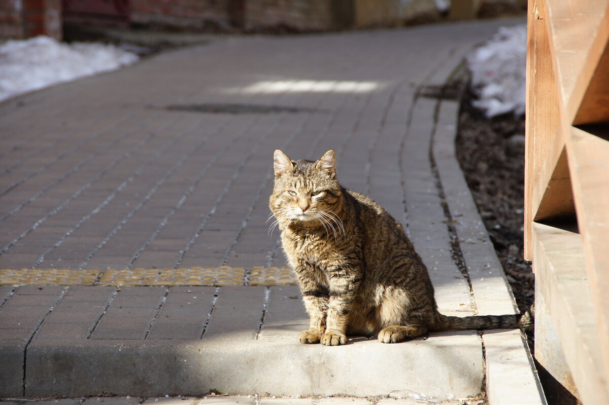 .. - Ninell Nikitina .. - Ninell Nikitina