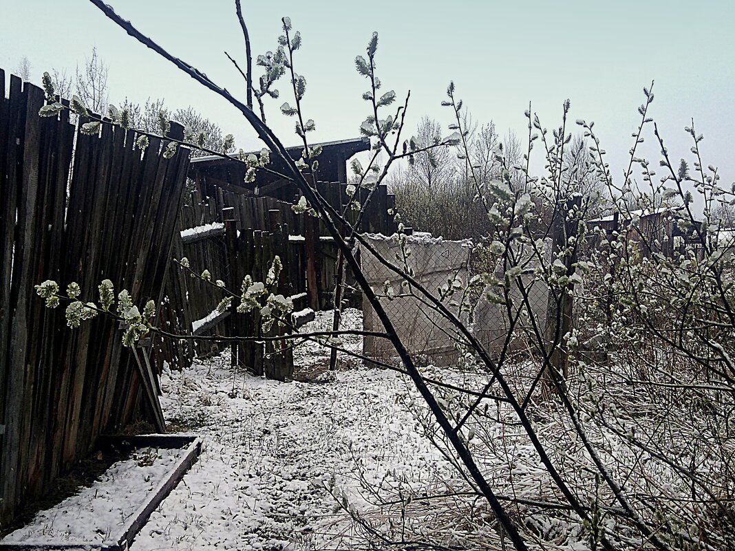 белоснежно и в апреле - Любовь 