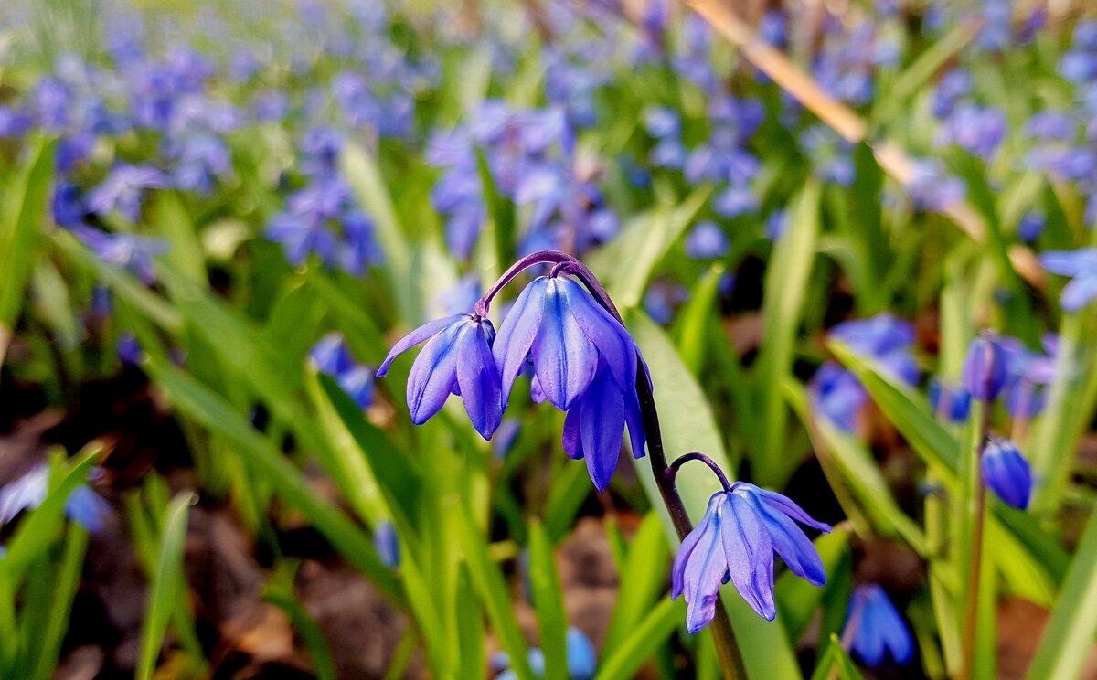 апрельские сюжеты 8 - Александр Прокудин апрельские сюжеты 8 - Александр Прокудин